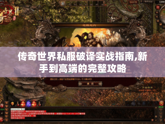 传奇世界私服破译实战指南,新手到高端的完整攻略