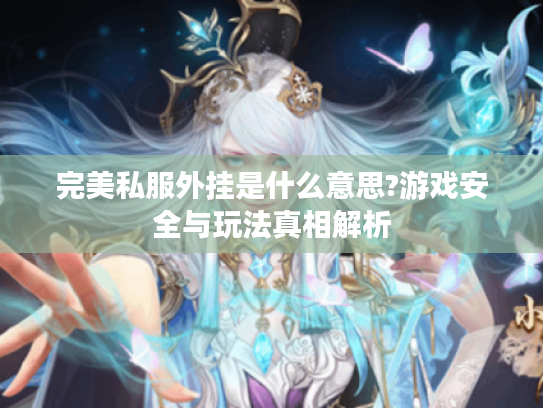 完美私服外挂是什么意思?游戏安全与玩法真相解析