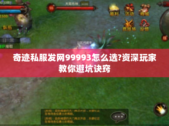 奇迹私服发网99993怎么选?资深玩家教你避坑诀窍
