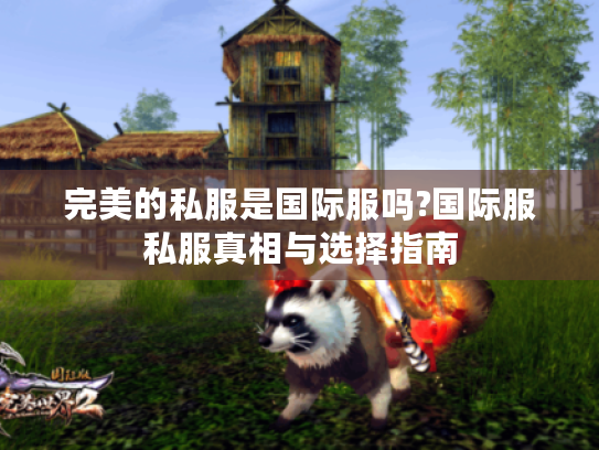 完美的私服是国际服吗?国际服私服真相与选择指南