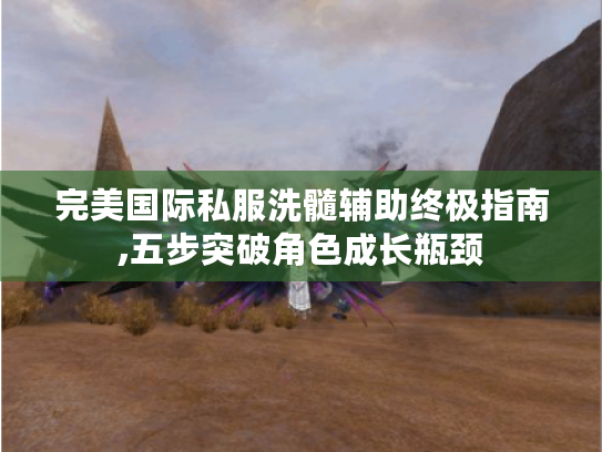 完美国际私服洗髓辅助终极指南,五步突破角色成长瓶颈