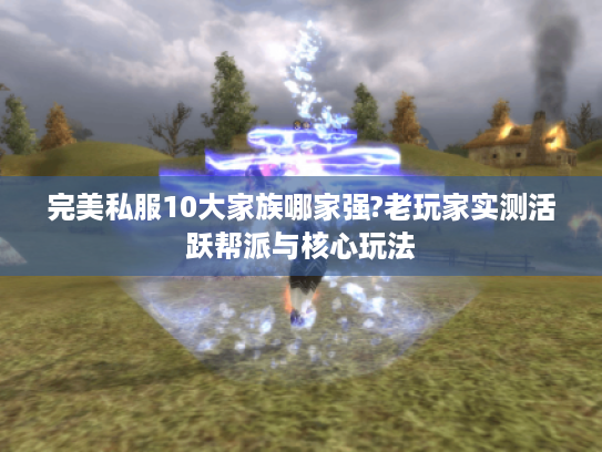 完美私服10大家族哪家强?老玩家实测活跃帮派与核心玩法