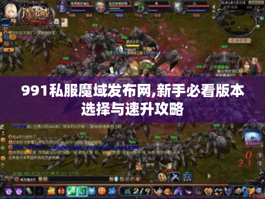 991私服魔域发布网,新手必看版本选择与速升攻略