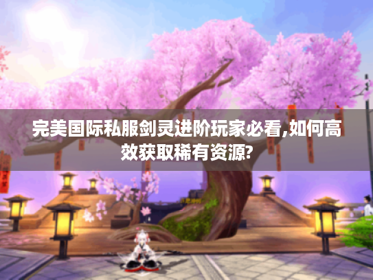 完美国际私服剑灵进阶玩家必看,如何高效获取稀有资源?