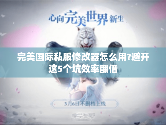 完美国际私服修改器怎么用?避开这5个坑效率翻倍