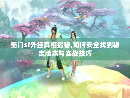蜀门sf外挂真相揭秘,如何安全找到稳定版本与实战技巧
