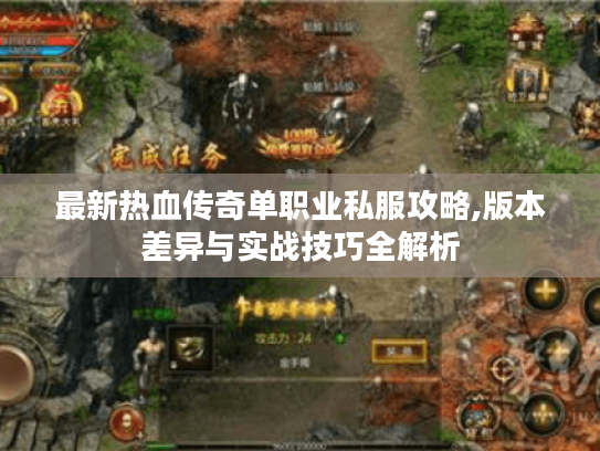最新热血传奇单职业私服攻略,版本差异与实战技巧全解析