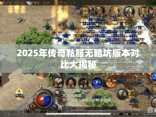 2025年传奇私服无暗坑版本对比大揭秘