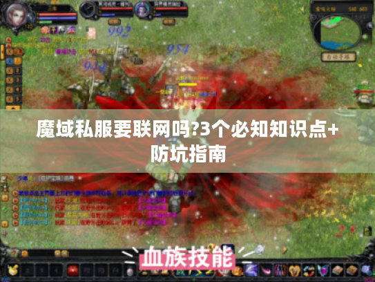 魔域私服要联网吗?3个必知知识点+防坑指南