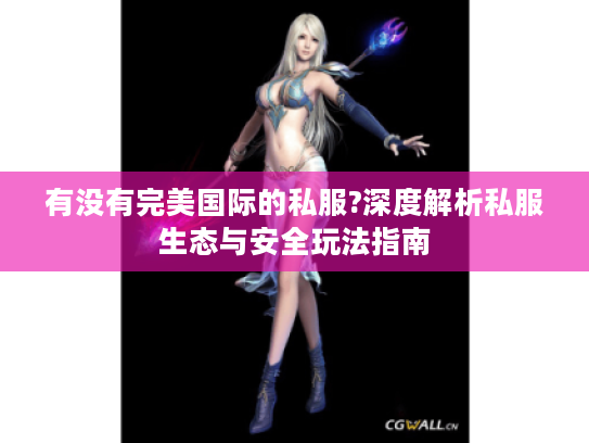 有没有完美国际的私服?深度解析私服生态与安全玩法指南
