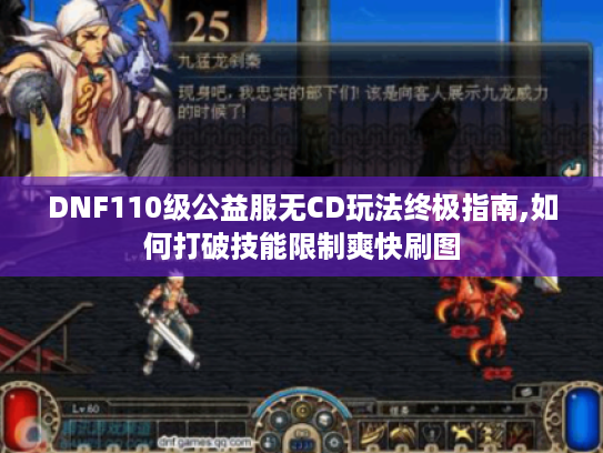 DNF110级公益服无CD玩法终极指南,如何打破技能限制爽快刷图