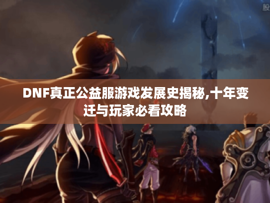 DNF真正公益服游戏发展史揭秘,十年变迁与玩家必看攻略