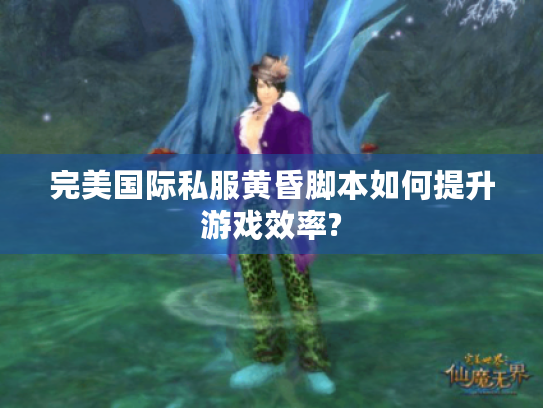 完美国际私服黄昏脚本如何提升游戏效率? 完美国际私服黄昏脚本如何提升游戏效率?