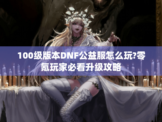 100级版本DNF公益服怎么玩?零氪玩家必看升级攻略