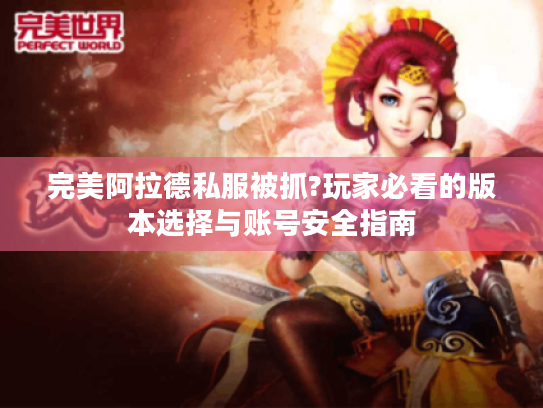 完美阿拉德私服被抓?玩家必看的版本选择与账号安全指南