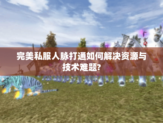 完美私服人脉打通如何解决资源与技术难题?