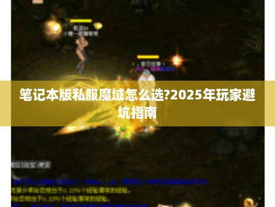 笔记本版私服魔域怎么选?2025年玩家避坑指南