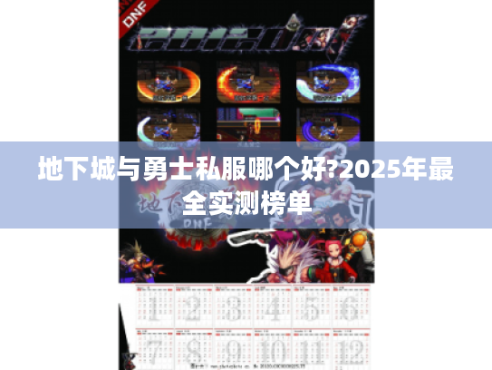 地下城与勇士私服哪个好?2025年最全实测榜单