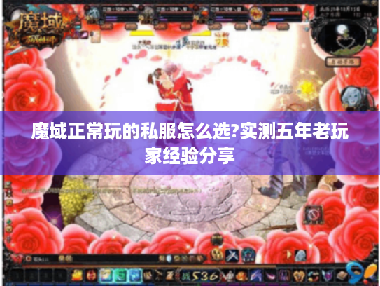 魔域正常玩的私服怎么选?实测五年老玩家经验分享