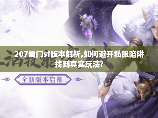 207蜀门sf版本解析,如何避开私服陷阱找到真实玩法?