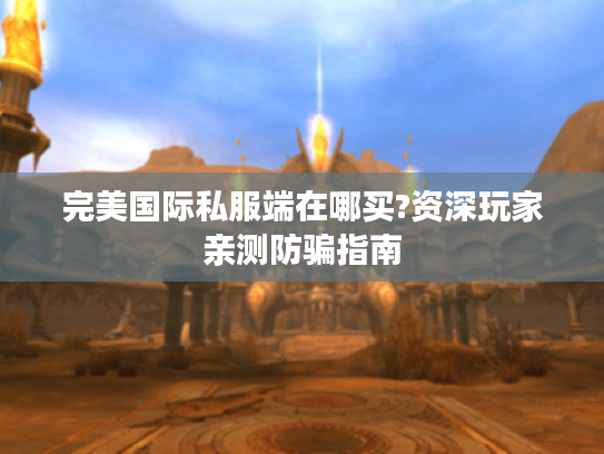 完美国际私服端在哪买?资深玩家亲测防骗指南
