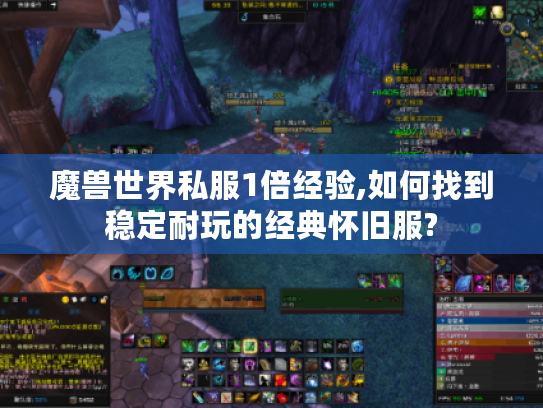 魔兽世界私服1倍经验,如何找到稳定耐玩的经典怀旧服?