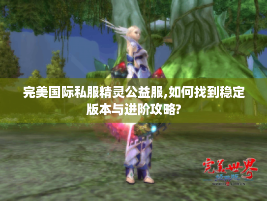 完美国际私服精灵公益服,如何找到稳定版本与进阶攻略?