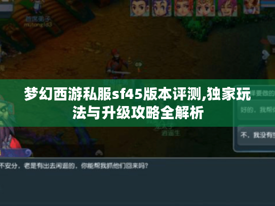 梦幻西游私服sf45版本评测,独家玩法与升级攻略全解析