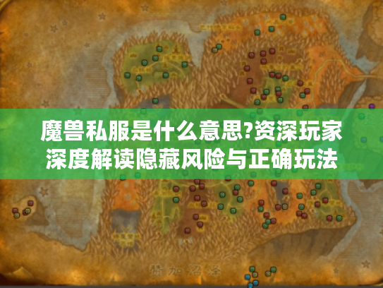 魔兽私服是什么意思?资深玩家深度解读隐藏风险与正确玩法