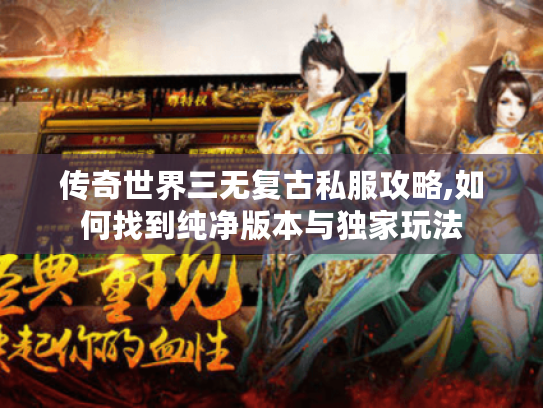 传奇世界三无复古私服攻略,如何找到纯净版本与独家玩法
