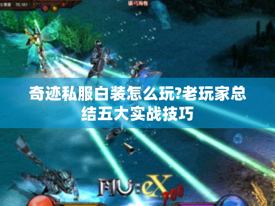 奇迹私服白装怎么玩?老玩家总结五大实战技巧 奇迹私服白装怎么玩?老玩家总结五大实战技巧