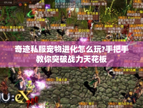 奇迹私服宠物进化怎么玩?手把手教你突破战力天花板