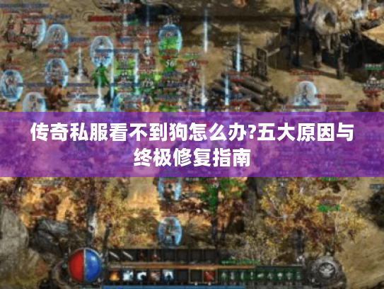 传奇私服看不到狗怎么办?五大原因与终极修复指南 传奇私服看不到狗怎么办?五大原因与终极修复指南