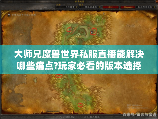 大师兄魔兽世界私服直播能解决哪些痛点?玩家必看的版本选择与攻略指南