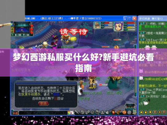 梦幻西游私服买什么好?新手避坑必看指南