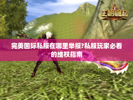 完美国际私服在哪里举报?私服玩家必看的维权指南