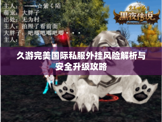 久游完美国际私服外挂风险解析与安全升级攻略