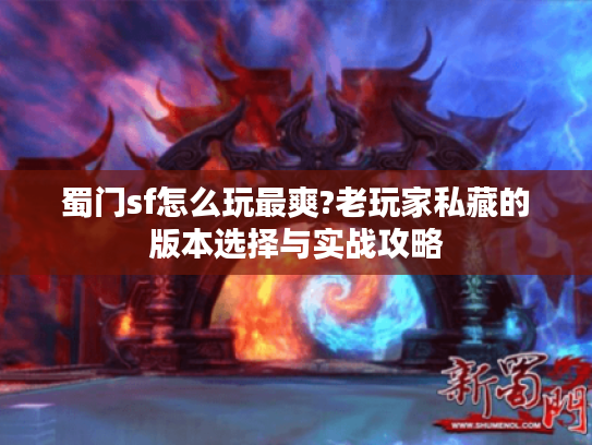 蜀门sf怎么玩最爽?老玩家私藏的版本选择与实战攻略