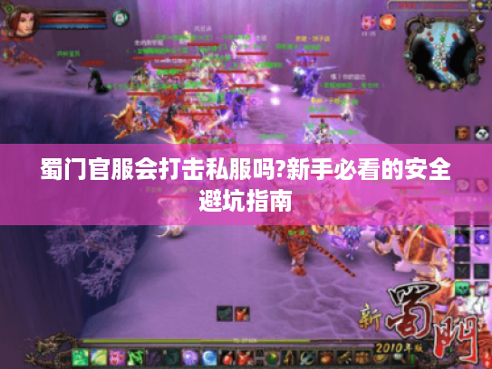 蜀门官服会打击私服吗?新手必看的安全避坑指南