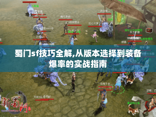 蜀门sf技巧全解,从版本选择到装备爆率的实战指南