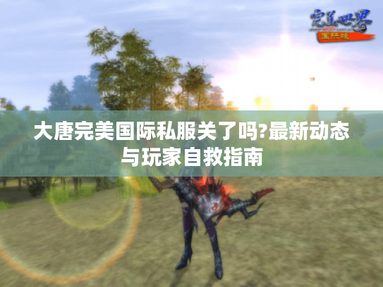 大唐完美国际私服关了吗?最新动态与玩家自救指南