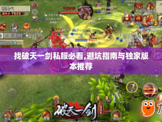 找破天一剑私服必看,避坑指南与独家版本推荐