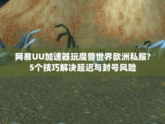 网易UU加速器玩魔兽世界欧洲私服?5个技巧解决延迟与封号风险