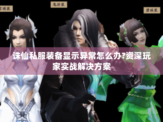 诛仙私服装备显示异常怎么办?资深玩家实战解决方案