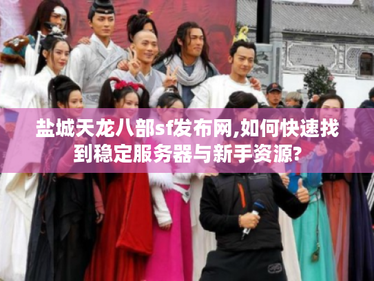 盐城天龙八部sf发布网,如何快速找到稳定服务器与新手资源?