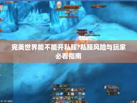 完美世界能不能开私服?私服风险与玩家必看指南