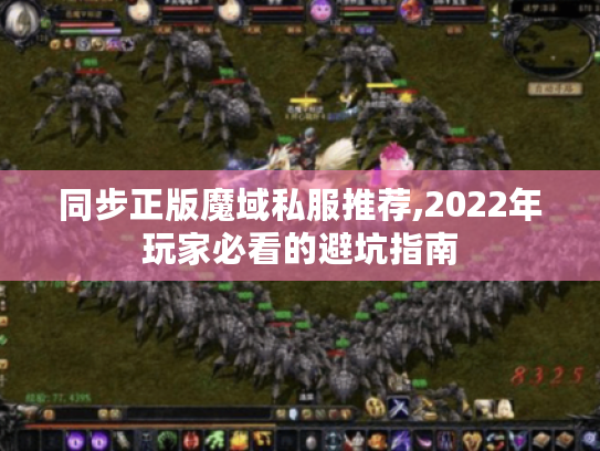同步正版魔域私服推荐,2022年玩家必看的避坑指南