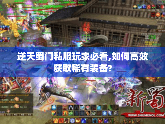 逆天蜀门私服玩家必看,如何高效获取稀有装备?