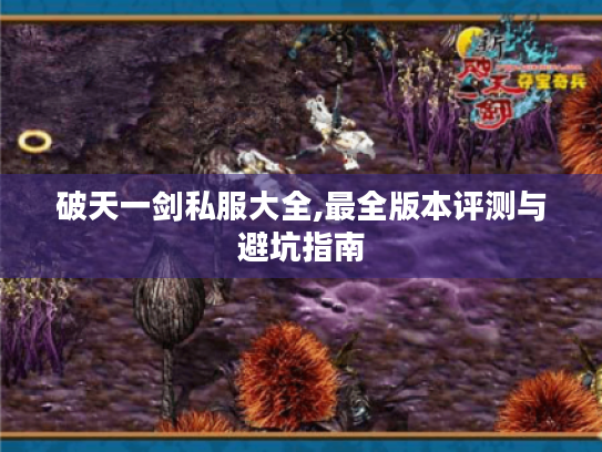 破天一剑私服大全,最全版本评测与避坑指南