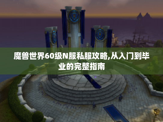 魔兽世界60级N服私服攻略,从入门到毕业的完整指南